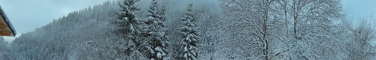 Snow-covered trees and mountain view from Lodge Cresson